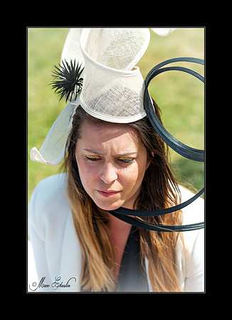 Prix de Diane 2014 ''Chantilly''
