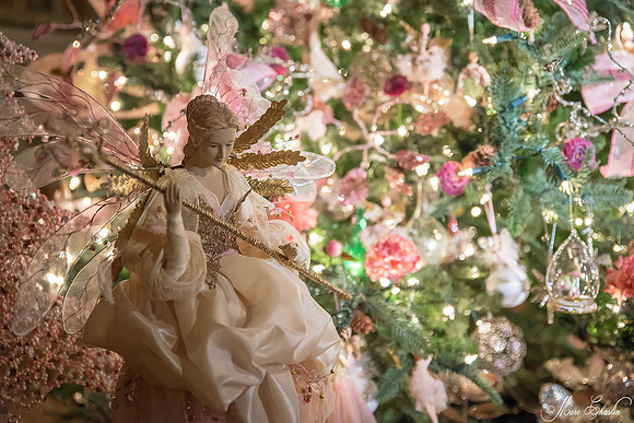 Noel Vaux le Vicomte 2014