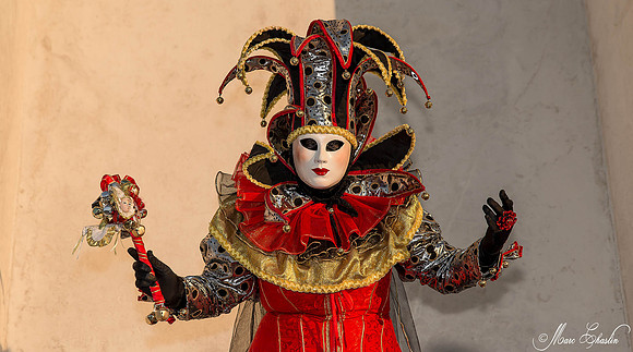 Carnaval de Venise 2015