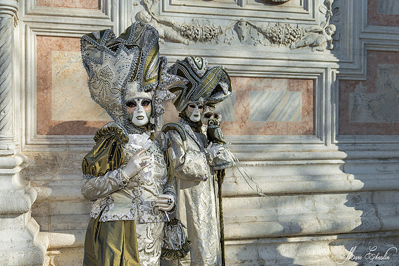 Carnaval de Venise 2015