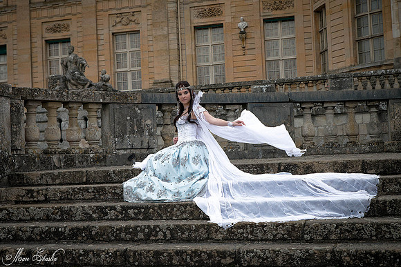 Noel Vaux le Vicomte 2014