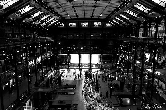 Noir et Blanc