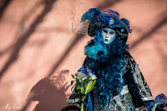 Carnaval de Venise 2015