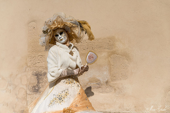 Carnaval vénitien Remiremont 2015