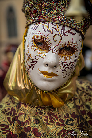 Carnaval vénitien Remiremont 2015