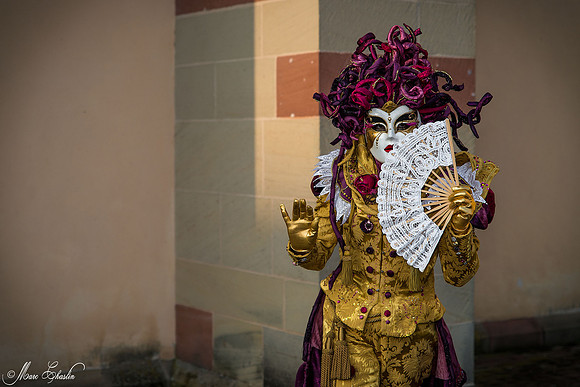 Carnaval vénitien Remiremont 2015