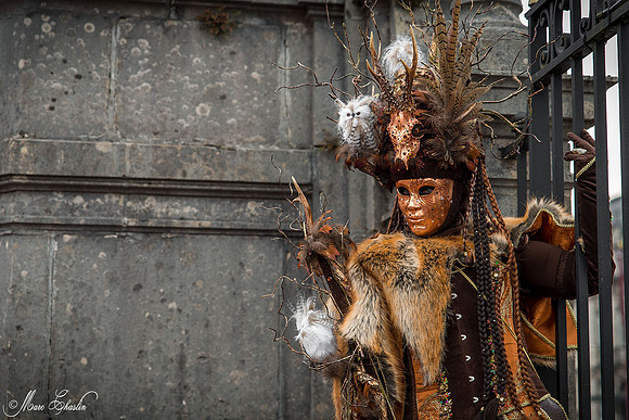 Carnaval vénitien Remiremont 2015