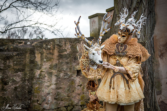 Carnaval de ROSHEIM 2015