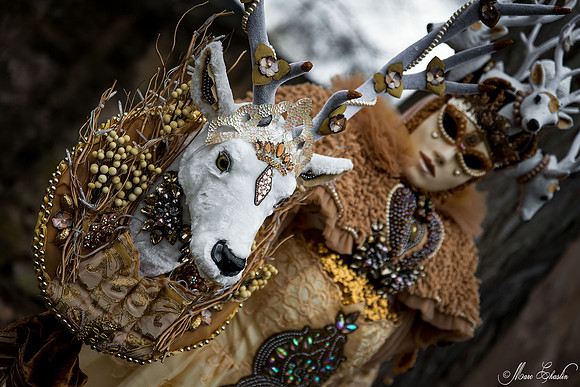 Carnaval de ROSHEIM 2015