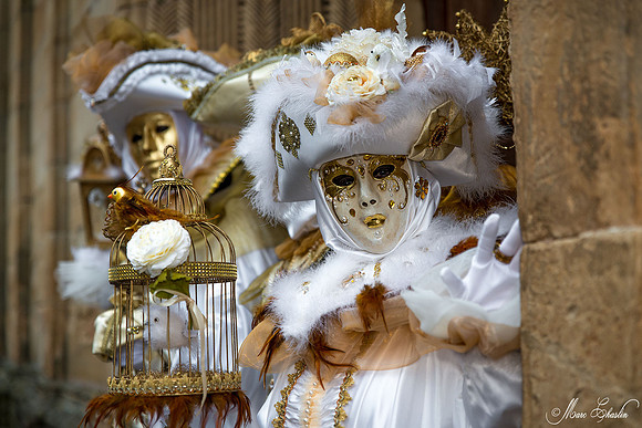 Carnaval de ROSHEIM 2015