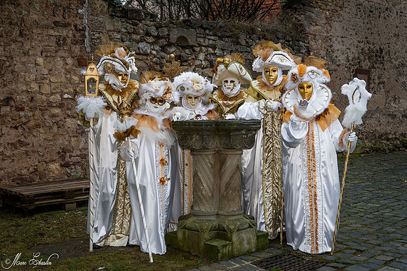 Carnaval de ROSHEIM 2015