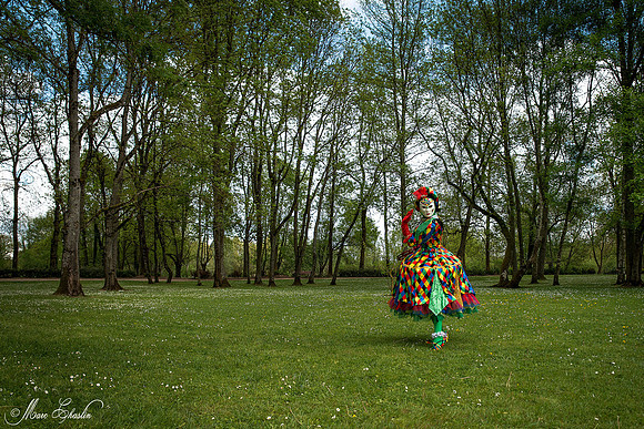 Carnaval vénitien de Mehun sur Yèvre
