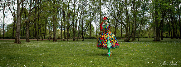 Carnaval vénitien de Mehun sur Yèvre