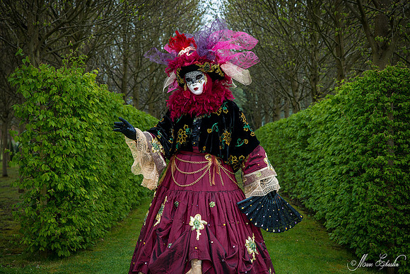 Carnaval vénitien d'Annevoie 2015 (Belgique)