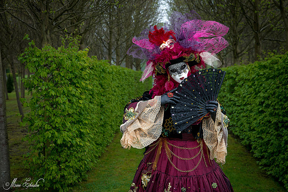 Carnaval vénitien d'Annevoie 2015 (Belgique)