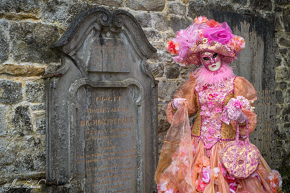 Carnaval vénitien d'Annevoie 2015 (Belgique)