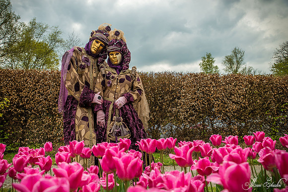 Carnaval vénitien d'Annevoie 2015 (Belgique)