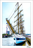 ARMADA ROUEN 2013