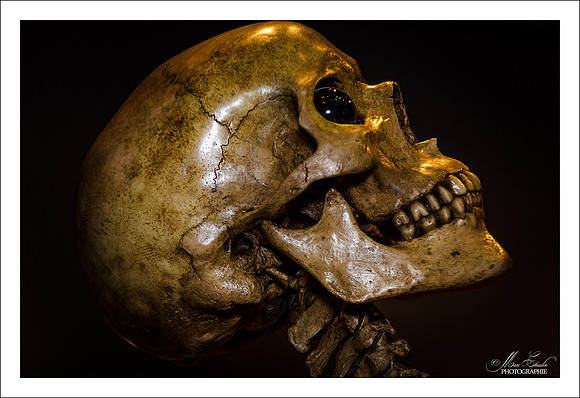 scuplture jean-marc laroche