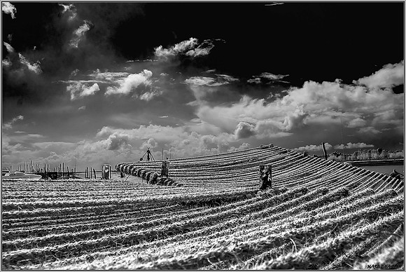 noir et blanc