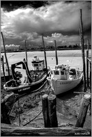 noir et blanc