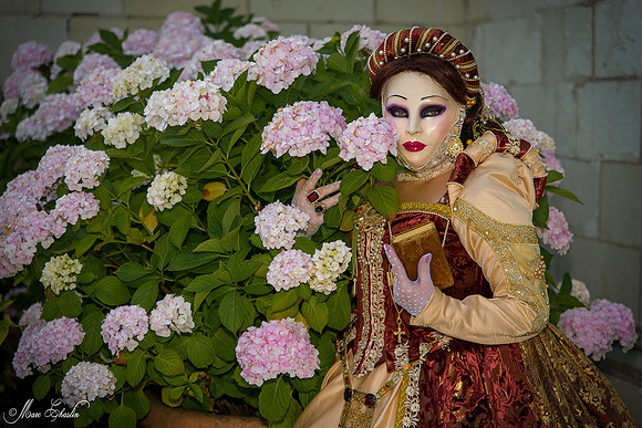 Carnaval vénitien Château d'Amboise