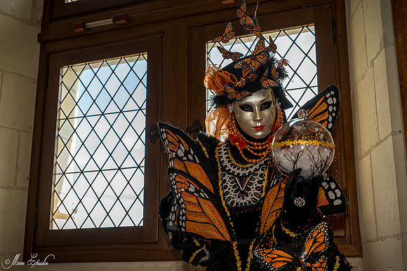 Carnaval vénitien Château d'Amboise