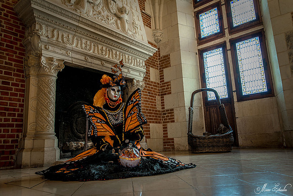 Carnaval vénitien Château d'Amboise