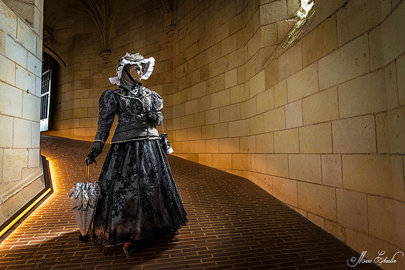 Carnaval vénitien Château d'Amboise