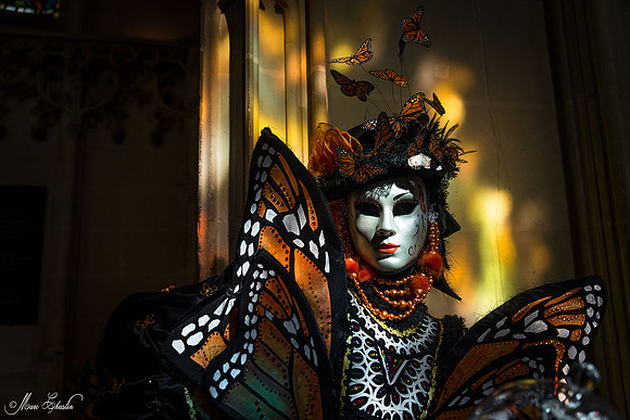 Carnaval vénitien Château d'Amboise