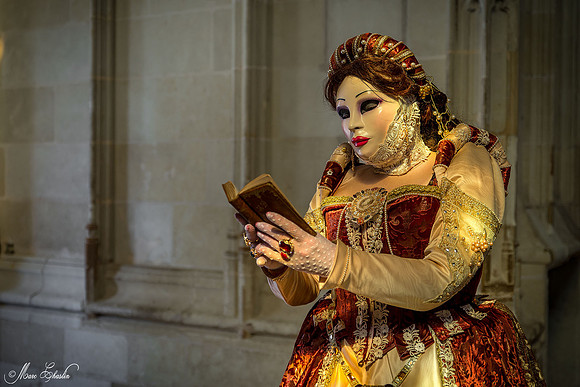 Carnaval vénitien Château d'Amboise