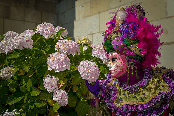 Carnaval vénitien Château d'Amboise