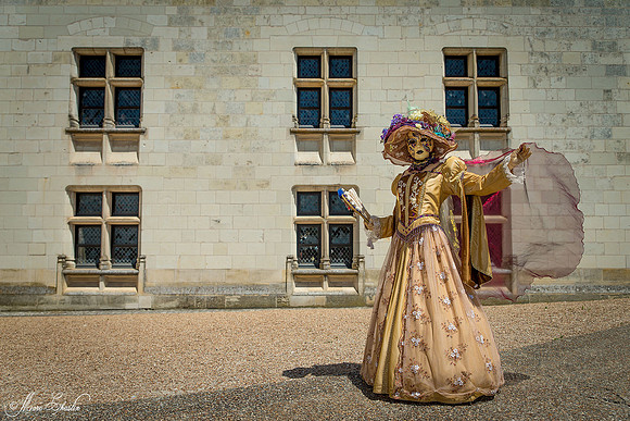 Carnaval vénitien Château d'Amboise
