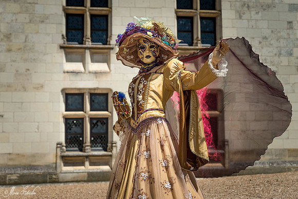 Carnaval vénitien Château d'Amboise