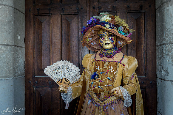 Carnaval vénitien Château d'Amboise