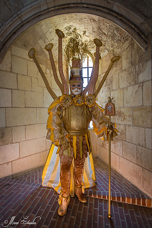 Carnaval vénitien Château d'Amboise