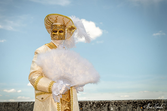 Carnaval vénitien Château d'Amboise