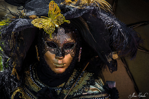 Carnaval vénitien Château d'Amboise