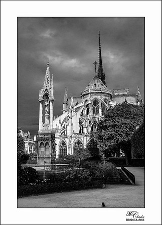 noir et blanc