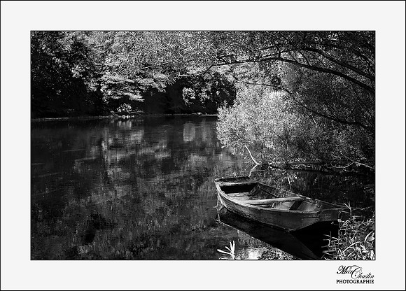 noir et blanc