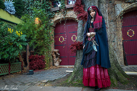Noel Steampunk  2014 (Musée des Arts forains)