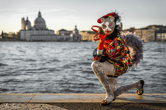 Carnaval de Venise 2016