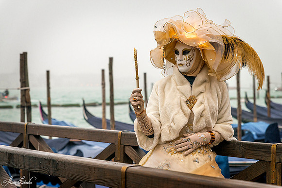 Carnaval de Venise 2016