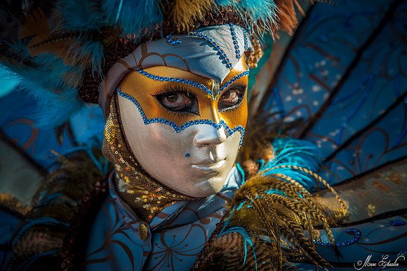 Carnaval de Venise 2016