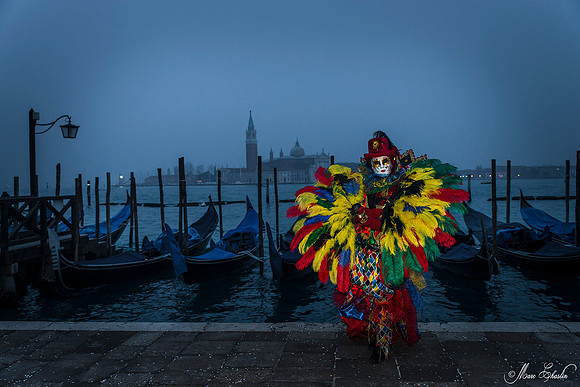 Carnaval de Venise 2016