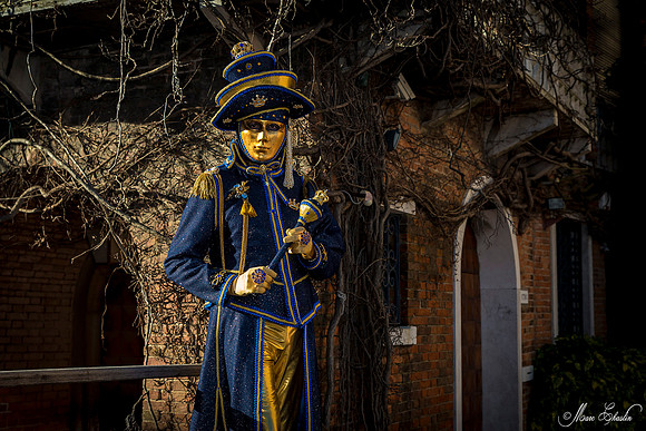 Carnaval de Venise 2016