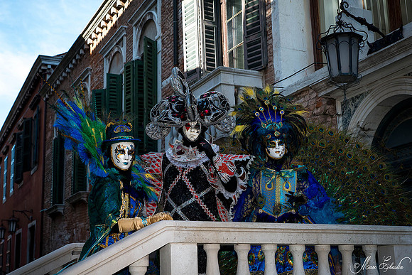 Carnaval de Venise 2015