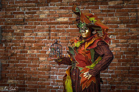 Carnaval de Venise 2016