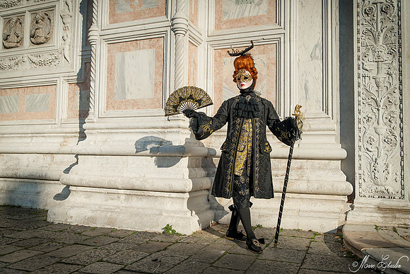 Carnaval de Venise 2015