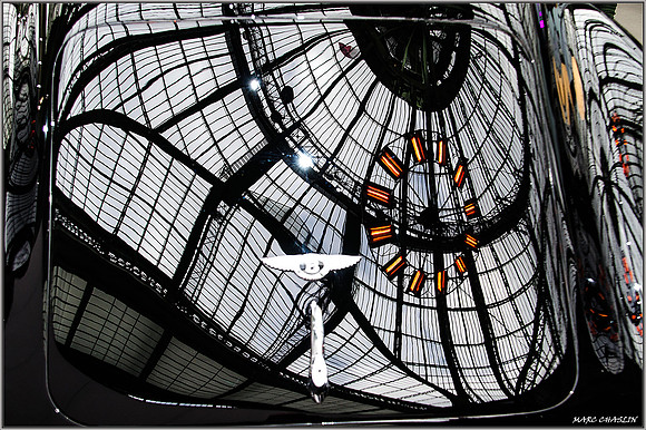 Exposition Grand Palais PARIS